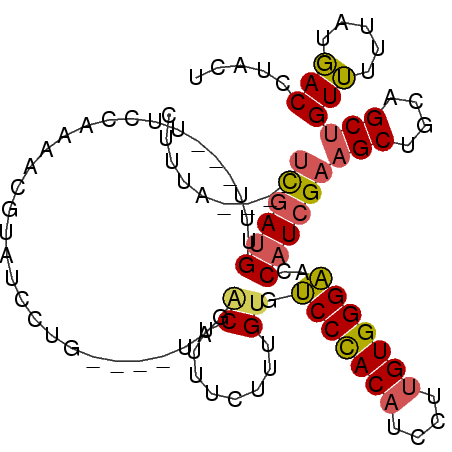 secondary structure