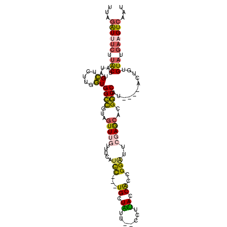 secondary structure