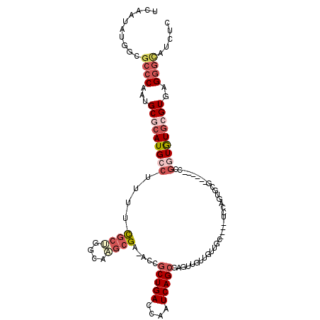 secondary structure