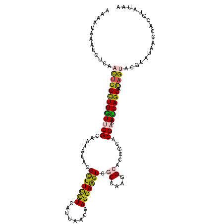 secondary structure