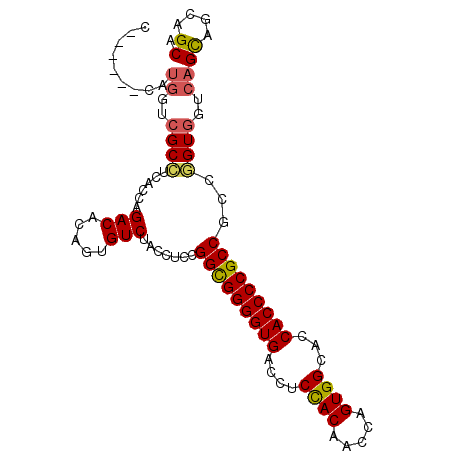 secondary structure