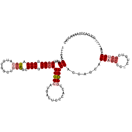 secondary structure