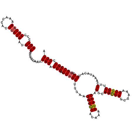 secondary structure