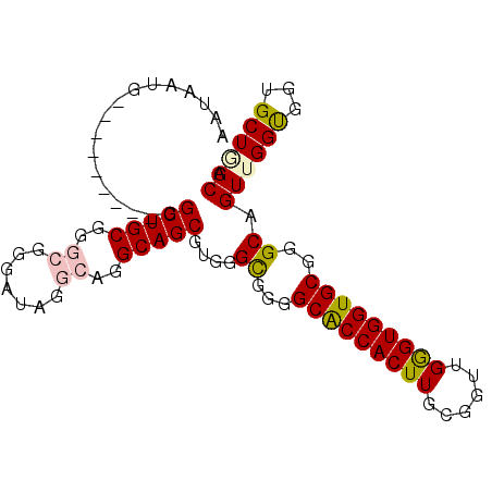 secondary structure