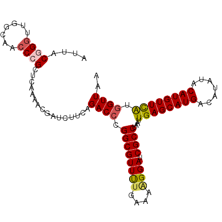 secondary structure