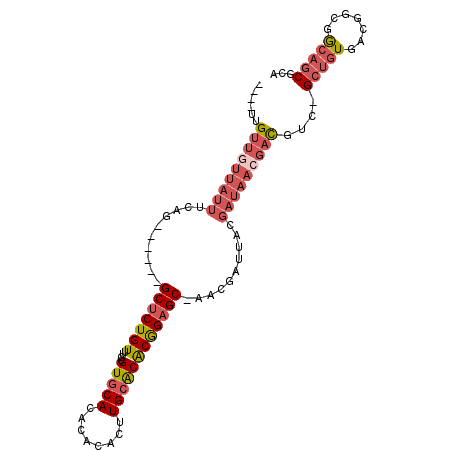 secondary structure