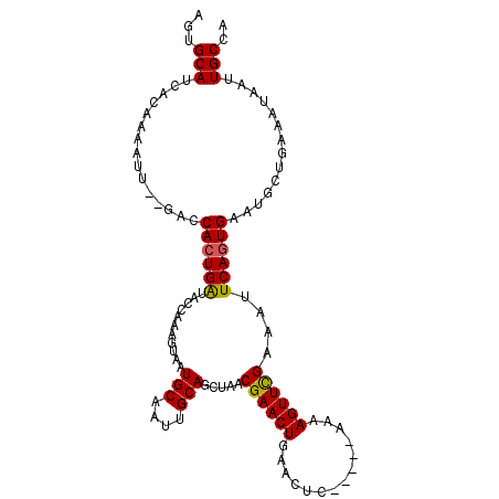 secondary structure