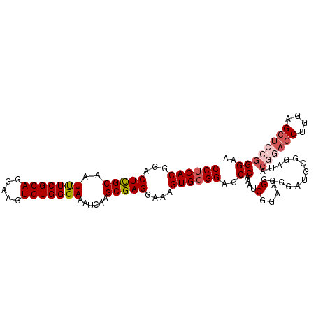 secondary structure