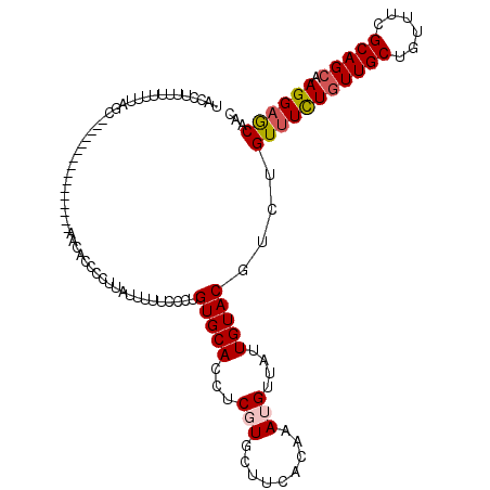 secondary structure