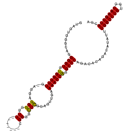 secondary structure