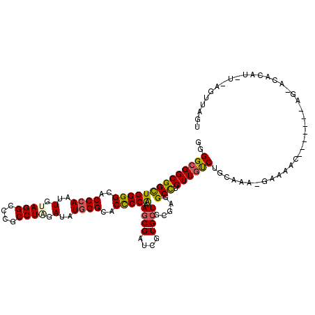 secondary structure