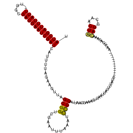 secondary structure