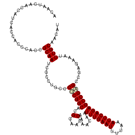 secondary structure