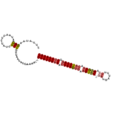secondary structure