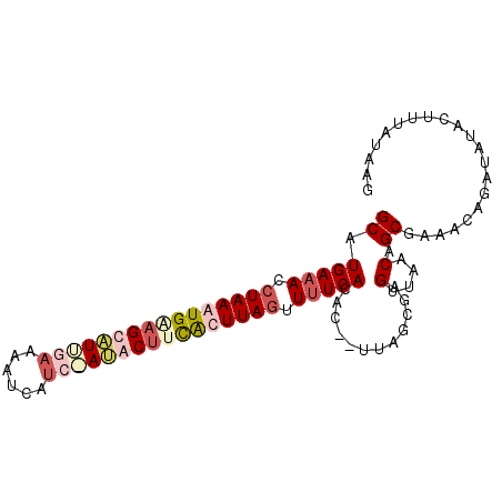 secondary structure