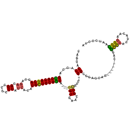 secondary structure