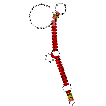 secondary structure