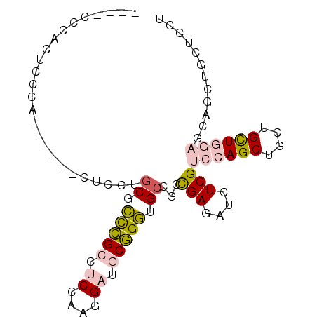 secondary structure