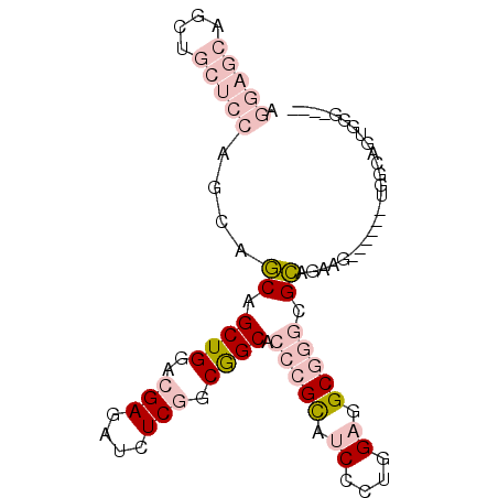 secondary structure
