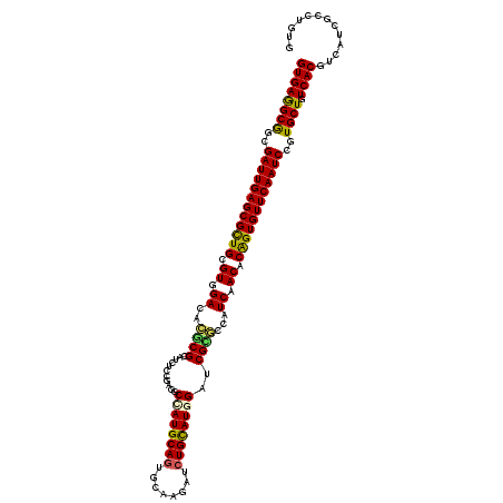 secondary structure