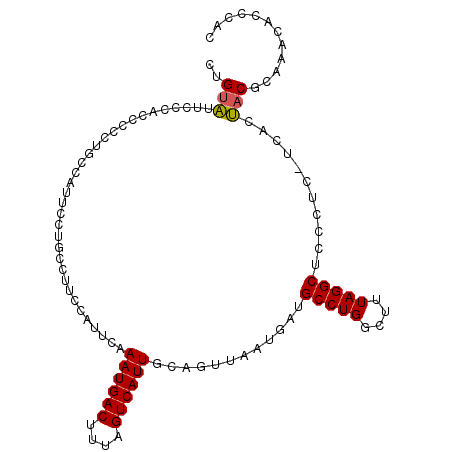 secondary structure
