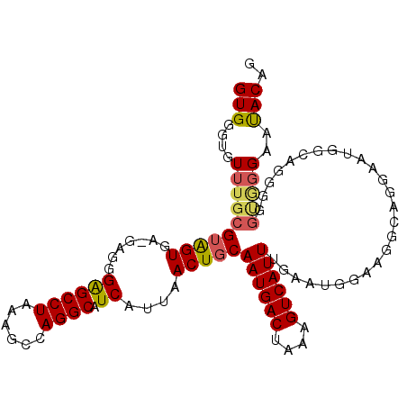 secondary structure