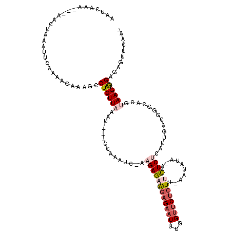 secondary structure