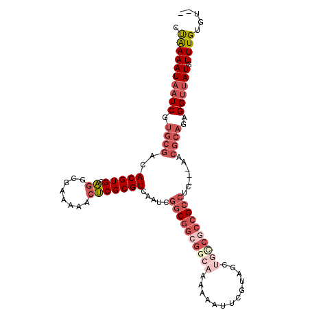 secondary structure