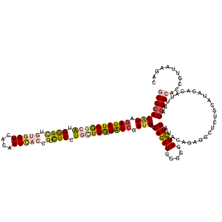 secondary structure