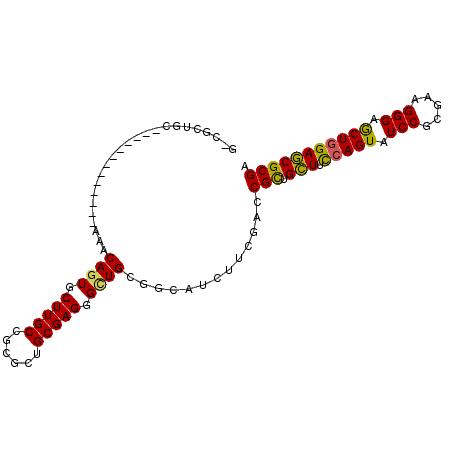 secondary structure