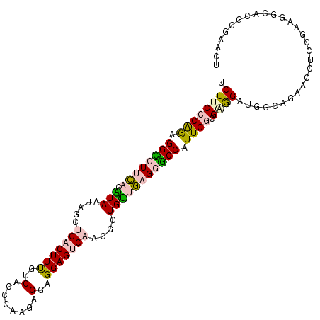 secondary structure