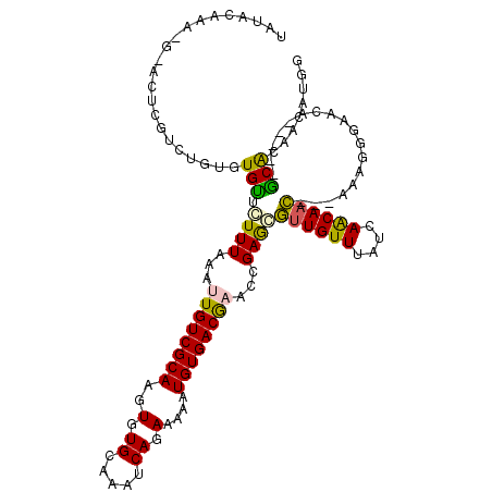 secondary structure