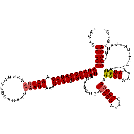 secondary structure