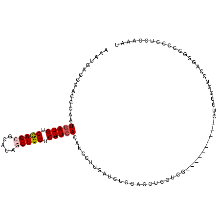 secondary structure