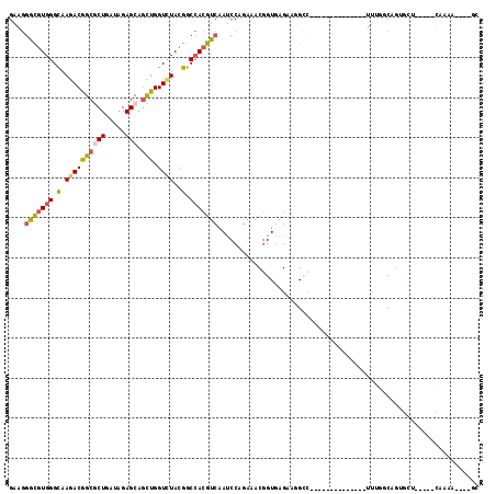 dotplot