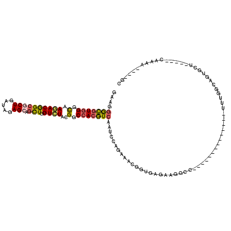 secondary structure