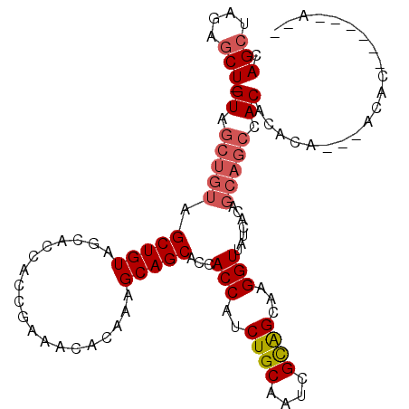 secondary structure