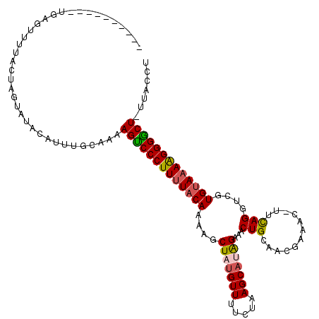 secondary structure
