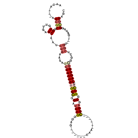 secondary structure