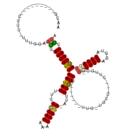 secondary structure