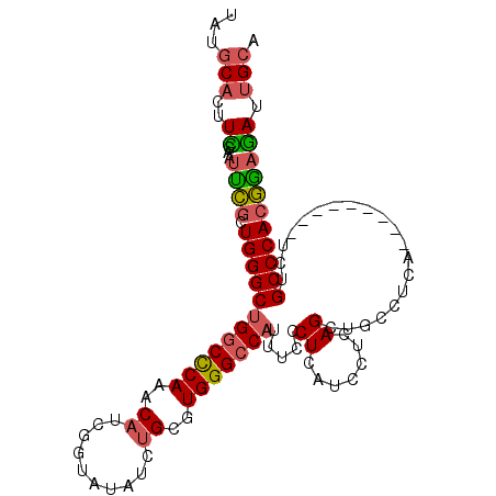 secondary structure