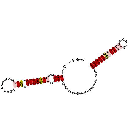 secondary structure
