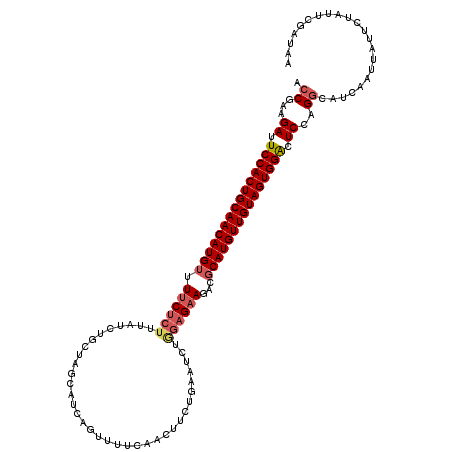 secondary structure