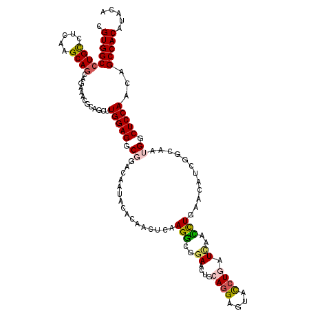 secondary structure