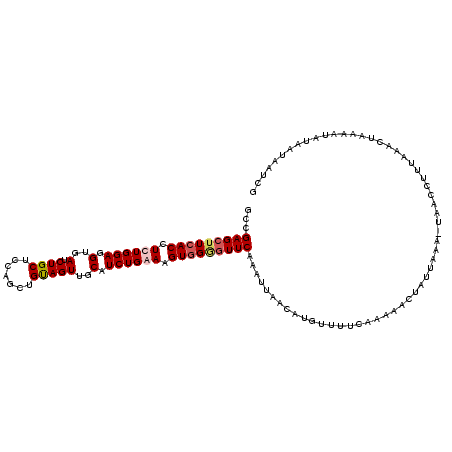 secondary structure