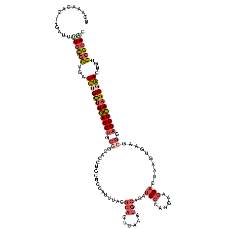 secondary structure
