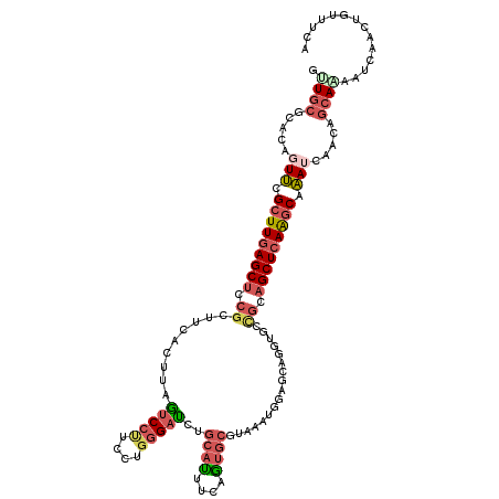 secondary structure