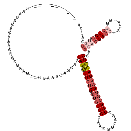 secondary structure