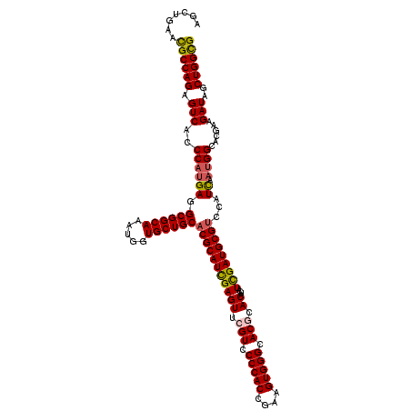 secondary structure