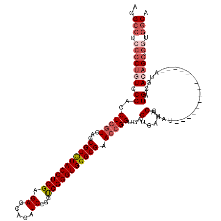 secondary structure